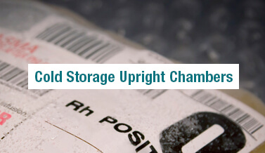 Cold Storage Upright Chambers